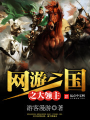 网游三国之大领主免费阅读